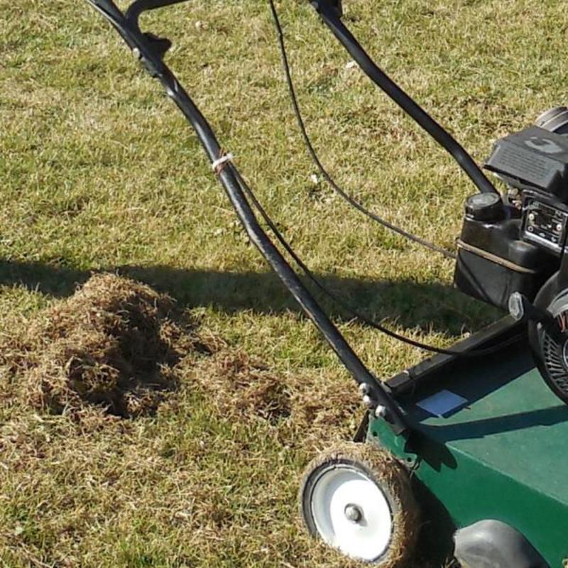 Scarificateur gazon électrique avec bac de ramassage